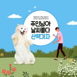 마스코타 강아지물티슈 20팩 반려동물 저자극 펫티슈 : 제이와이티슈