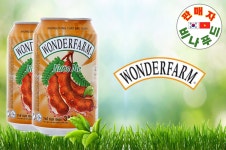 [비나푸드] WONDERFARM, 베트남 음료, 베트남 원더팜, 베트남 원더메론티, TRA BI DAO WONDERFARM (1박스 24캔 310ML) : 비나푸드