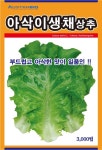 아삭이 상추 생채 3000립 쌈채소 씨앗 상추씨앗 종자 : 씨앗팜