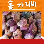 통영 특품 홍가리비 비단가리비 1kg제철 세척 구이 찜 : 다올수산 다오이소