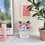 무궁화화분만들기 5개set 워크지 키트 미술재료 호국보훈 우리나라 삼일절 음악특강 음악교구 : 포렛클래스