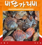 통영 특품 홍가리비 비단가리비 1kg제철 세척 구이 찜 : 다올수산 다오이소
