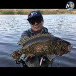 NS 레오파드 브론 BMT-5112 민물루어 쏘가리낚시대 : 피싱리액션