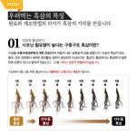 국내산흑삼 함량2배높은 특허 다누림의 진한 압축 흑삼농축액 70ml 30포 : 이브상사