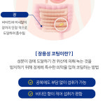 비타민B3 B군 티아민 B12 활성비타민B 컴플렉스 수용성 비군 2박스 : 오킵