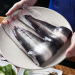 당일손질 자연산 통영 바다장어 1kg 붕장어 아나고 +소스2종 증정 : 푸드스토리365
