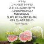 구아바잎 분말 200g 국내산 100% [엄마애손] 신비의 열매 구아바 : 나나몰 nanamall