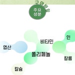 구아바잎 분말 200g 국내산 100% [엄마애손] 신비의 열매 구아바 : 나나몰 nanamall