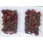 대용량 항공직송 워싱턴 생체리 9R/9.5R/10R 5kg 1box 벌크 : 썬리지