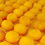 아이스곶감 청도 반건시 곶감 명절 꽂감 간식 대과 6개 선물세트 : 건블리 상점