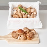 무농약 송향버섯 표고버섯 송이버섯 송화 송고 못난이 파지 슬라이스 건버섯 500g 1kg : 대한민국친환경