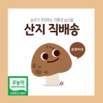 무농약 송향버섯 표고버섯 송이버섯 송화 송고 못난이 파지 슬라이스 건버섯 500g 1kg : 대한민국친환경