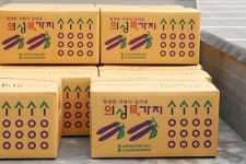 국내산 의성가지 산지직송 당일수확 특품 2kg 5kg 10kg 전국 발송 : 해성농산