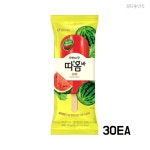따옴 아이스크림 수박 과일 과즙 아이스크림 75ml 30개 : 불티낫슈