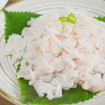 제철 갯장어 여수 하모회 300g : 푸드공작소