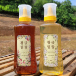 벌꿀 튜브형 500g 아카시아꿀/야생화꿀(잡화꿀) 강원도 정선 : World Shopping
