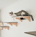 파파냥 고양이 캣스텝 선반 스크래쳐 캣워커 1+1 : 심콩 : 스토어