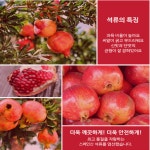 석류즙 80g 60포[엄마애손] 석류 농축액 진액 엑기스 : 나나몰 nanamall
