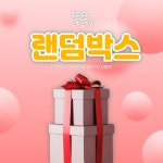 이벤트  ⭐랜덤박스⭐1만원~5만원 가성비 상의 악세서리 여성 : 별솔샵