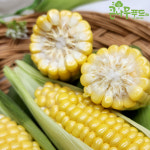 [큰나무푸드] 해남 초당옥수수 10개입 : 큰나무푸드