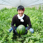 고당도보장 자연에서바로 국내산 하우스수박 프리미엄 우곡수박 5kg 6kg : 자연에서바로