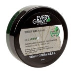 에브리그린 포마드 워터왁스 소프트타입 100ml : 위더스316