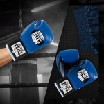 CLETO REYES 클레토 레예스 MMA 킥복싱 무에타이 복싱 스파링 글러브 : 고래구대