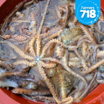 동해안 활 발문어 1kg 낙지문어 참문어 : 파머스 718