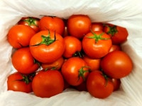 토마토 효능 시세 완숙토마토5키로 10키로 3kg 쥬스용 주스용 즙용 농장 4월 제철 : 바로보담