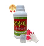유황규산 오복이 1L 마늘 잎마름병 흑색썩음균핵병 고추 탄저병 예방 흥농팜아그로 : 흥농팜아그로