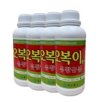 유황규산 오복이 1L 4개  고추 탄저병 예방 마늘 잎마름병 흑색썩음균핵병 흥농팜아그로 : 흥농팜아그로