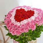 100송이 사랑 분홍 빨간 장미 꽃바구니 고백 기념일 꽃 선물 : 꽃집청년들