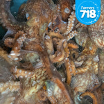 동해안 활 발문어 1kg 낙지문어 참문어 : 파머스 718