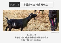 김소형 김소영 흑염소 진액 염소즙 엑기스 흙염소진액 총120포 : 건강이 보이다