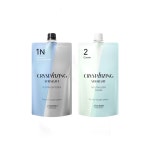 시세이도 크리스탈라이징 스트레이트 1제&2제 400ml 매직약 파마약 : 빠담뷰티