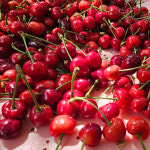 경주 생체리 빨간 노란체리 좌등금 국산 당일수확 선물용 1kg 2kg : 솔솔 농장