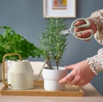 이케아 허브가위 홈가드닝 원예용품 BRYTBÖNA 브뤼트뵈나 : 포이즈