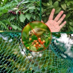 방조망 새망 새그물망 블루베리망 새그물 참새 텃밭 방조망 그물망 참새망 2X5m : 마이독스 스토어