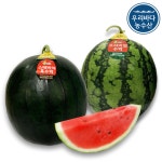 겨울 수박 하우스 고당도 꿀 설탕 수박 가을 망고 애플 맛있는 왕수박 한통 : 우리바다농수산