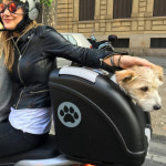 포우버디라이더 강아지 애견 고양이 반려동물 오토바이 자전거 스쿠터 바구니 캐리어 탑박스 : 샤르댕댕