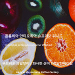 싱글오리진) 콜롬비아 안티오퀴아 슈프리모 - 이른아침커피공장 : 이른아침커피공장