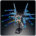 HG 스트라이크 프리덤 건담 (빛의 날개 DX 에디션) 부품 설명서 : 건담리페어