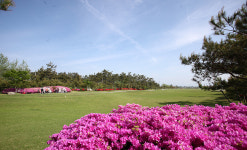 고창CC에서 시원한 여름라운딩, 1박2일 36홀 PKG : 세이브투어- 황수진차장