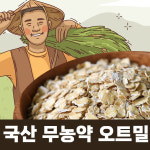 친환경으로 재배한 국산 무농약 오트밀 간편한 한끼식사 오트밀 국산 100% : 바른건강