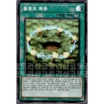 칠정의해문 /  슈퍼레어  (QCDB-KR056) : 코토리샵