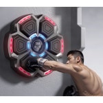 뮤직복싱기계 복싱연습 복싱머신 뮤직복싱 뮤직복싱머신 펀칭머신 : 스란