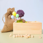 스칸디아모스 편백나무 화분 가습기 만들기 diy 실내공기정화식물 : 릴리몰리