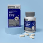 뮤코다당단백 콘드로이친 관절건강 1,100mg x 60정 영진약품 영플랜  : 나나몰 nanamall