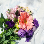 [DAVAL]생화 꽃배달 꽃 정기구독 정기배송 농장직송 꽃다발 무료배송 1회 구매가능 : DAVAL