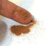 쿠로소이 1호 40g : 알파피쉬